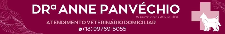 Anne 219 (estradas) - 08/08/2022