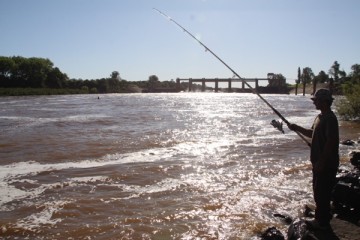 Piracema probe a pesca em rios da regio