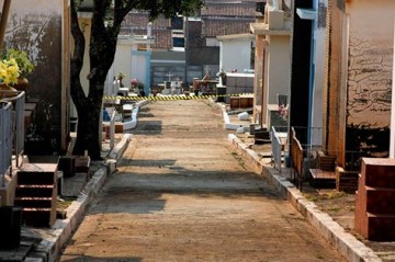 Enxame de abelhas interdita parte do cemit�rio de Osvaldo Cruz