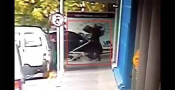 Seguran�a do Carrefour pode responder a��o criminal por matar cachorro