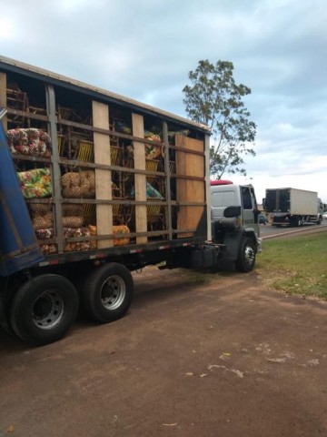 V�DEO: Assista agora sobre o caminh�o de Rin�polis recheado com maconha que foi apreendido no Paran�