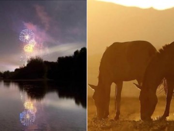 Justi�a determina indeniza��o de quase R$ 50 mil a propriet�rio que perdeu cavalos ap�s disparo de fogos de artif�cio em It�polis