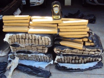 Homem tenta fugir de pol�cia, mas acaba preso com 249 kg de maconha