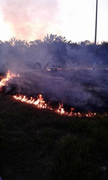 Inc�ndio criminoso destroi parte da �rea de lazer do Jd Para�so