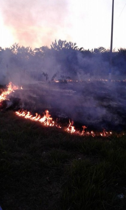 Foto: Roberto Amor Lhana