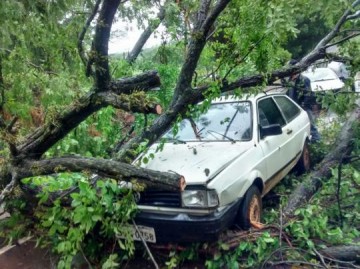 �rvore cai sobre carro na vicinal entre Lagoa Azul e Parapu�