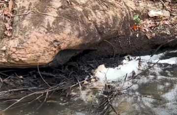 Despejo irregular de vinha�a mata peixes e causa mau cheiro em Luc�lia