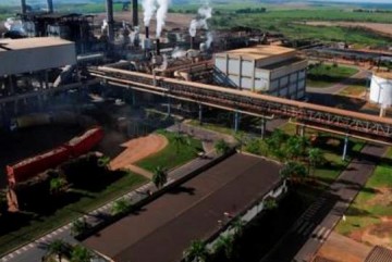 Usina Clealco suspende moagem em Clementina e dispensa 300 funcion�rios