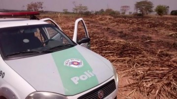 Queimada sem autoriza��o em canavial rende multa de mais de R$ 22 mil em Junqueir�polis