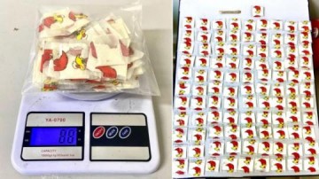 Com filho de 4 anos, dom�stica de Adamantina � presa em Mirand�polis levando 100 por��es de coca�na