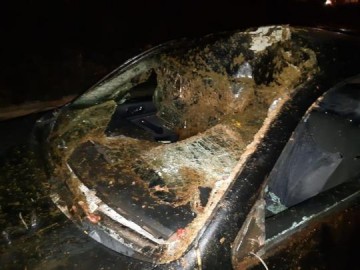 Acidente com cavalos soltos em rodovia de Mar�lia deixa quatro pessoas feridas