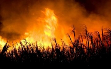Polcia Ambiental de Tup aplica multa no valor de R$ 30 mil e 220 reais por uso de fogo em rea rural de Parapu
