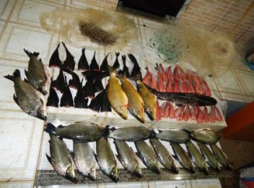 Polcia apreende 85 quilos de pescado irregular em Rosana