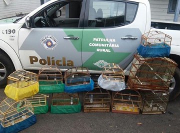 Polcia Ambiental apreende 12 pssaros e aplica multa de R$ 6 mil