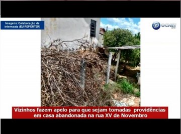 V�DEO: Vizinhos fazem apelo para que sejam tomadas provid�ncias em casa abandonada na rua XV de Novembro