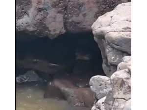 Sucuri � filmada em �rea de trilha no Salto Botelho, ponto tur�stico de Luc�lia