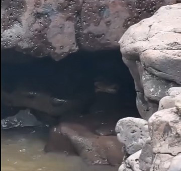 Sucuri � filmada em �rea de trilha no Salto Botelho, ponto tur�stico de Luc�lia