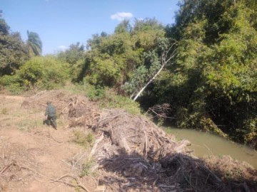 Fazendeiro  autuado em R$ 213 mil por desmatamento de vegetao nativa em Santa Mercedes