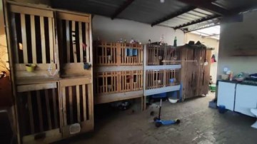 Homem � preso e multado em R$ 67 mil por envolvimento em rinhas de galos e posse ilegal de armas