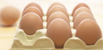 Produtores de ovos comemoram aumento na procura em Bastos