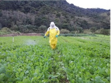 Agrot�xicos ter�o risco reavaliado pela Anvisa e podem ser retirados do mercado