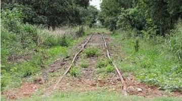Ibama autoriza reativa��o de trecho ferrovi�rio que passa em Osvaldo Cruz com exig�ncias ambientais
