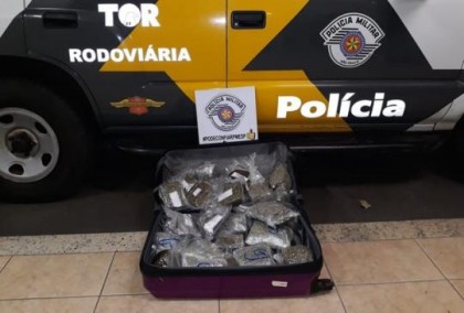 Drogas eram transportadas em �nibus abordado na SP-270 (Foto: Pol�cia Rodovi�ria/Cedida)