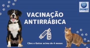 Osvaldo Cruz tem campanha de vacinao de ces e gatos contra a raiva na prxima semana
