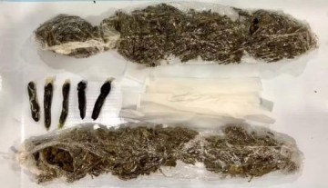 Mulher de detento � presa ao tentar entrar com maconha escondida no c�s da cal�a na Penitenci�ria de Pracinha