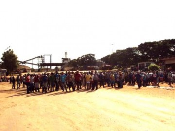 Greve na usina de Fl�rida Paulista