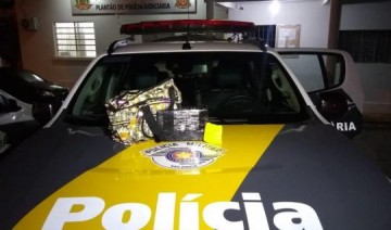 Mulher � detida com crack e coca�na durante abordagem na SP-270