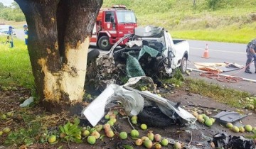 Morador em Pompeia morre em acidente na SP-294 entre Quintana e Hercul�ndia