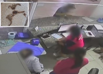 Irritado com atendimento, homem joga escorpies em recepcionistas de centro de sade