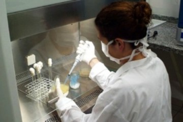 Professora paranaense ganha na Justi�a direito de usar s�men do marido morto