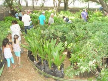 Feira do Verde de Osvaldo Cruz espera 30 mil pessoas