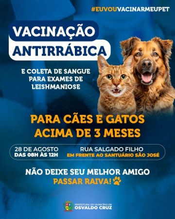 Amanh� tem vacina��o de c�es e gatos na Pra�a S�o Jos�