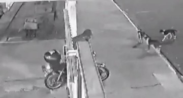 Suspeito invade unidade de sa�de, furta moto e morre minutos depois ao bater em carro estacionado em Vera Cruz