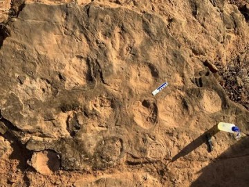 Paleont�logo encontra pegadas in�ditas de dinossauros com cerca de 90 milh�es de anos em General Salgado (SP)