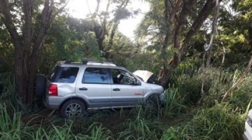 Motorista bate em �rvore e morre em Dracena