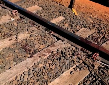 Corpo de homem � encontrado decapitado sobre trilhos de trem em Rio Preto