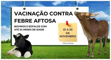 Campanha de vacina��o contra a febre aftosa come�ou nesta segunda-feira, 01