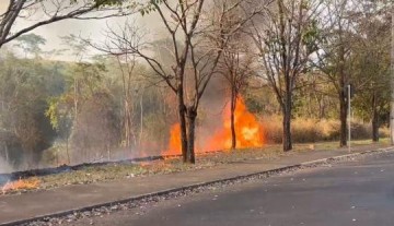 Inc�ndio atinge vegeta��o na Avenida Prefeito Osvaldo Martins, entre a Via de Acesso e o Vale Verde