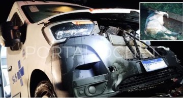 Ambul�ncia que transportava pacientes para Bastos se envolve em acidente ap�s atropelar bovino na SP-457