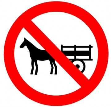 Motorista colide carro contra animal e sofre ferimentos, em Prudente