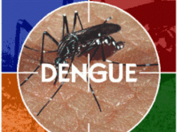 Tup� atinge 1500 casos de dengue em 2010