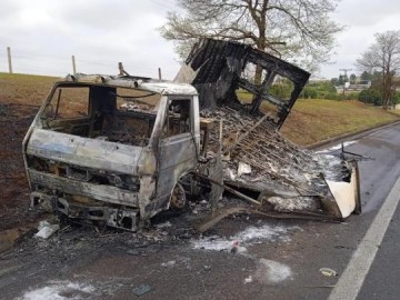 Caminh�o pega fogo e 30 mil filhotes de codorna morrem carbonizados em rodovia de Palmital