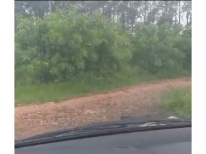 Moradores das imedia��es da Est�ncia V� Maria denunciam m�s condi��es da estrada rural do Valesburgo