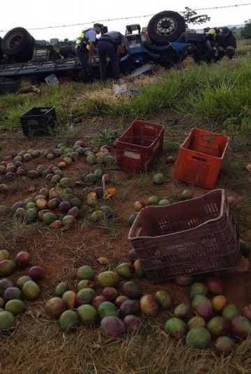 ADAMANTINA: Capotamento de caminh�o que transportava mangas deixa motorista gravemente ferido na Rodovia Jo�o Ribeiro de Barros