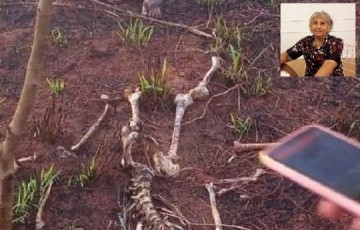 Pol�cia investiga se ossada humana encontrada em Assis pertence a um dois idosos desaparecidos a mais de oito meses