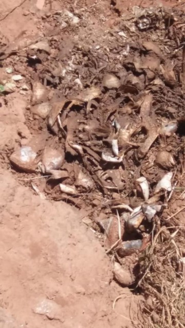 V�DEO: Pescador polui �rea entre o Aquarius e o Mira Ira